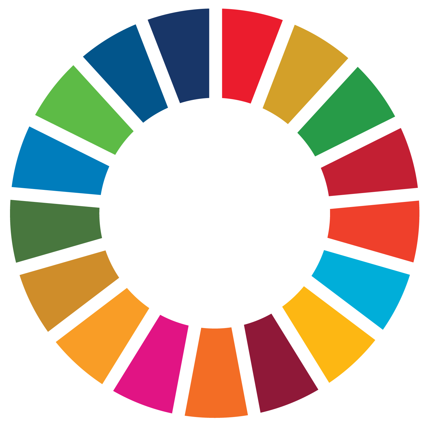 SDG Wheel_PRINT_Transparent