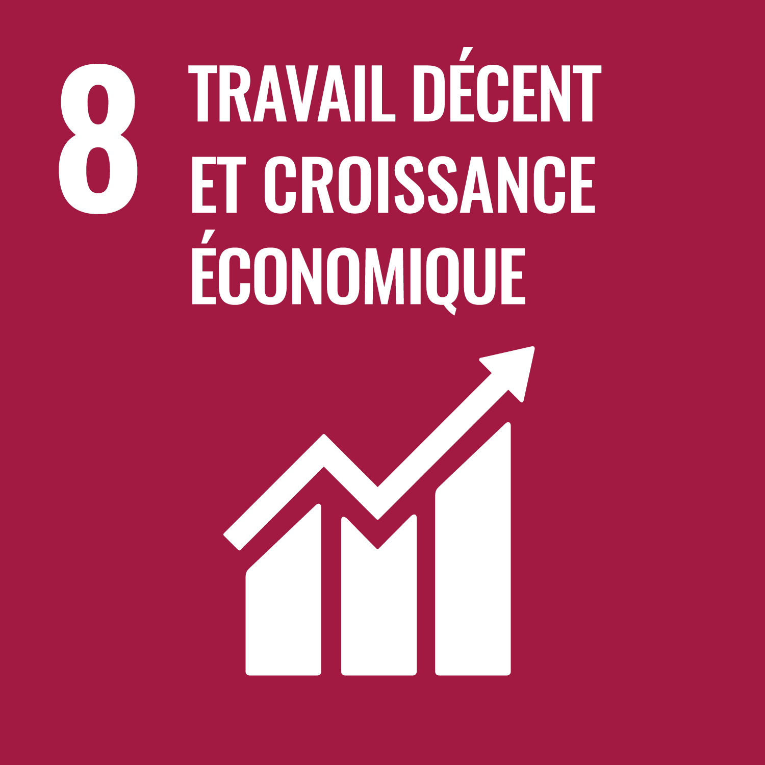 Objective de développement durable 8 - Travail décent et croissance économique