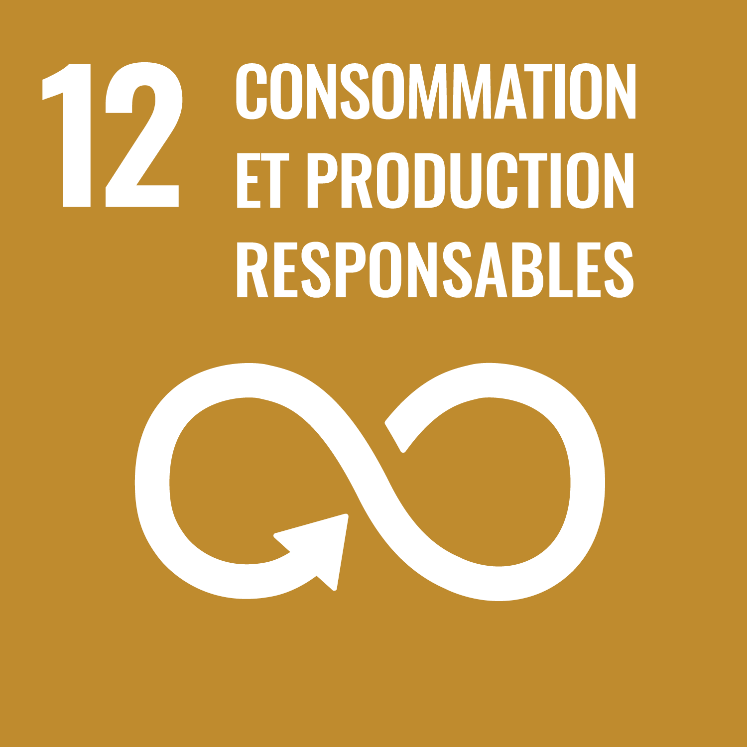 Objectif de développement durable 12 - Consommation et production responsables