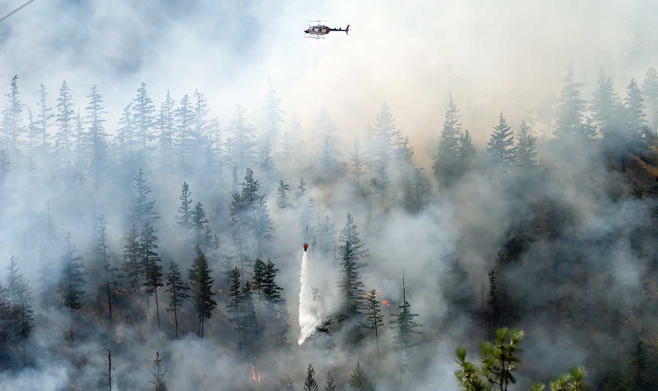 Helikopter försöker släcka skogsbrand.