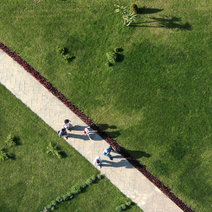 Från ovan när 4 personer promenerar i en park.
