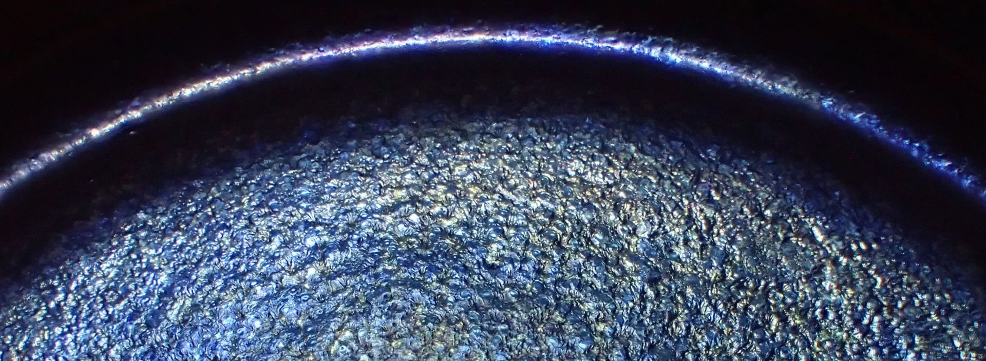 bnr-digital-2025