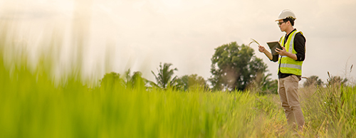 Biodiversity-NatCap1