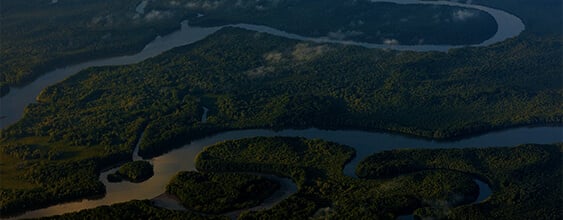 thn-climate resilience