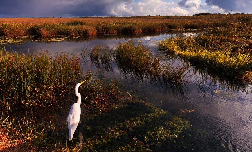 environmental-intelligence_body-1_868x526