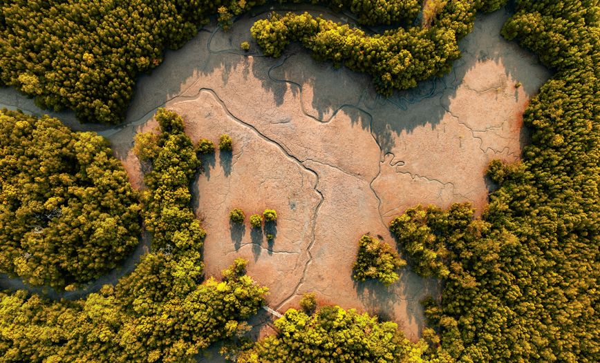 environmental-intelligence_body-3_868x526