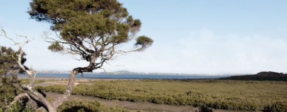 thn-FRL-Cities-3-Scott-Point