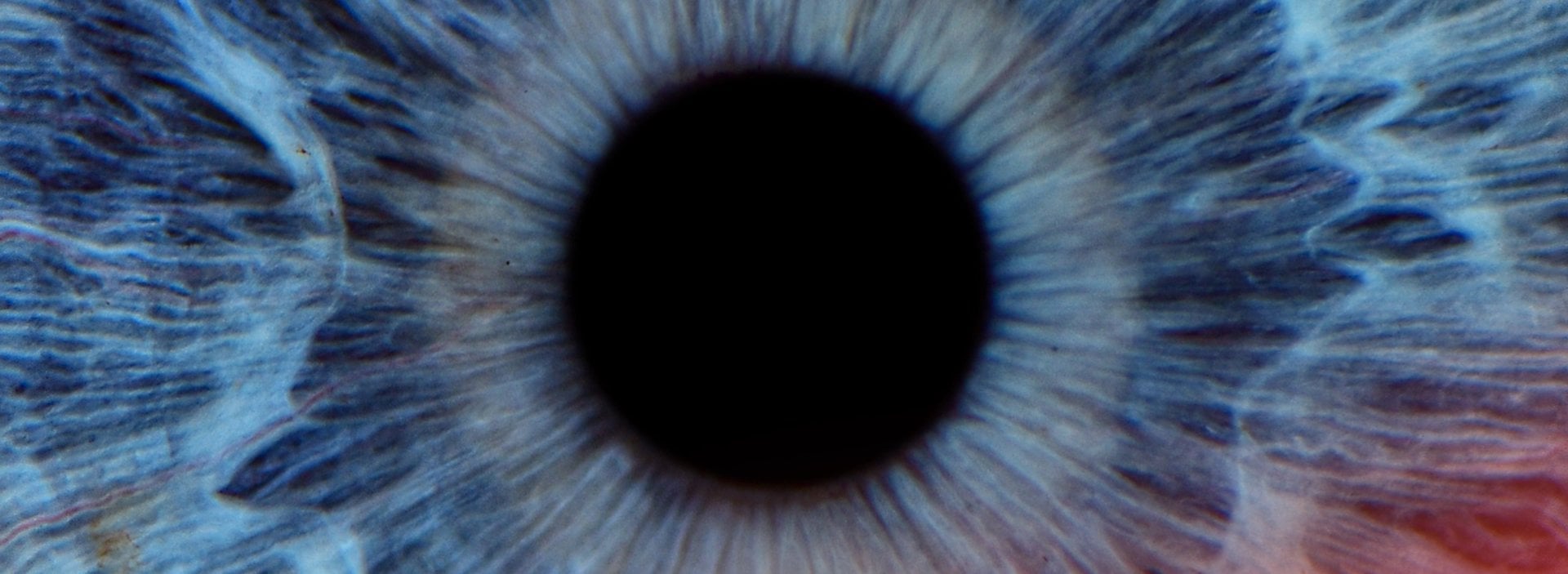 bnr_advisory-campaign