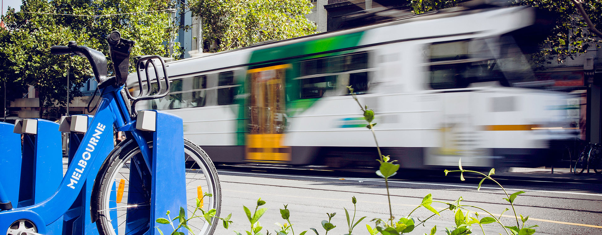 bnr-melbourne-tram-city-bicycle