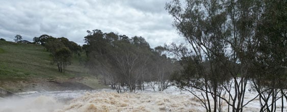 thn-005_campaspe-river-lake-eppalock-dam-victoria