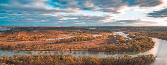 img-southern-murray-darling-report-01