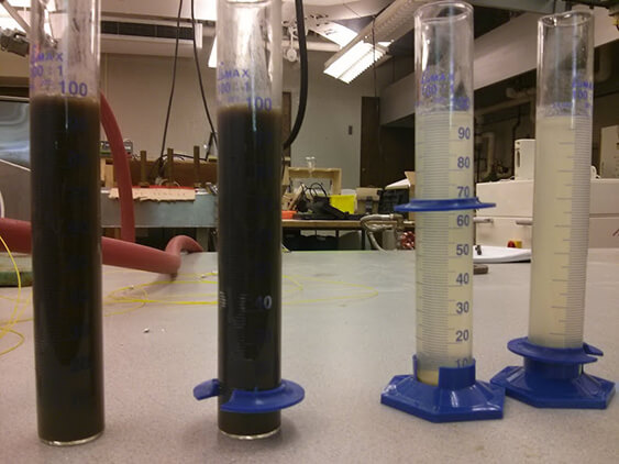 Sludge samples before and after MW-AOP treatment
