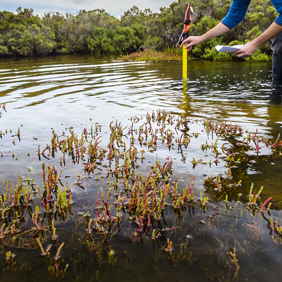 img-Nature-based Solutions