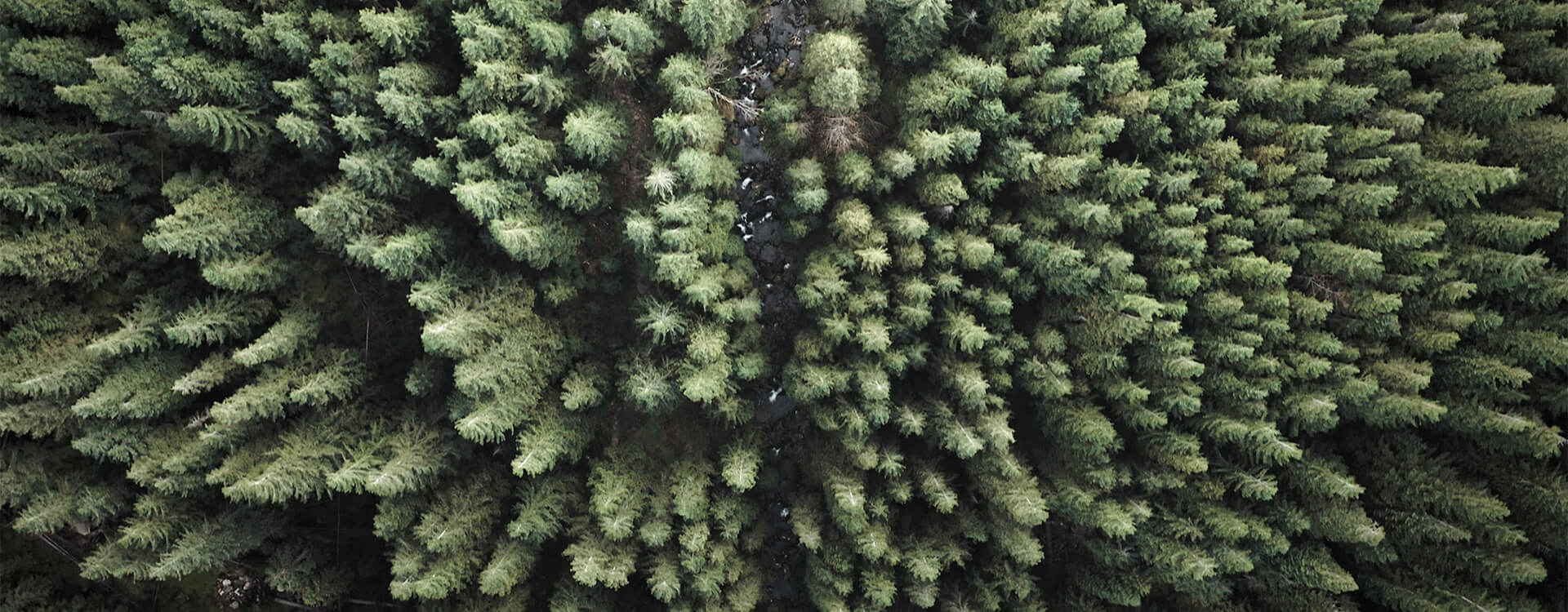 bnr-COP28-Indigenous Leadership-Restoring Canadas Biodiversity
