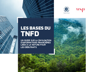 Les Bases du TNFD: Un guide sur la divulgation d’informations financières liées à la nature pour les débutants