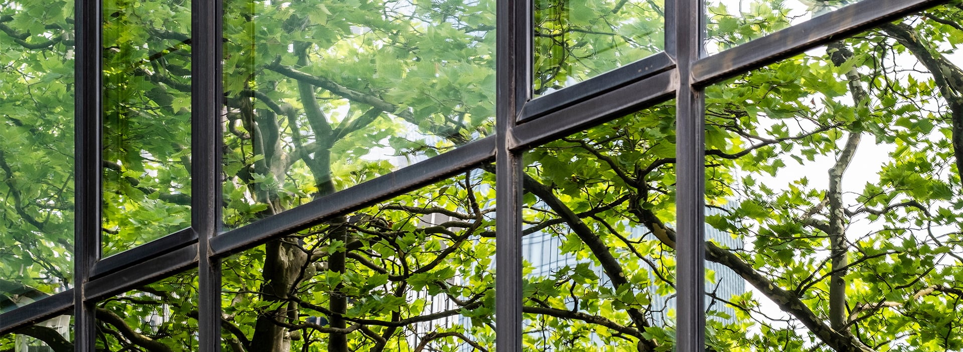 bnr-sustainability-practices-canadian-companies-1