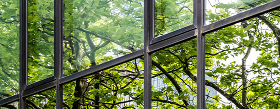 thn-sustainability-practices-canadian-companies