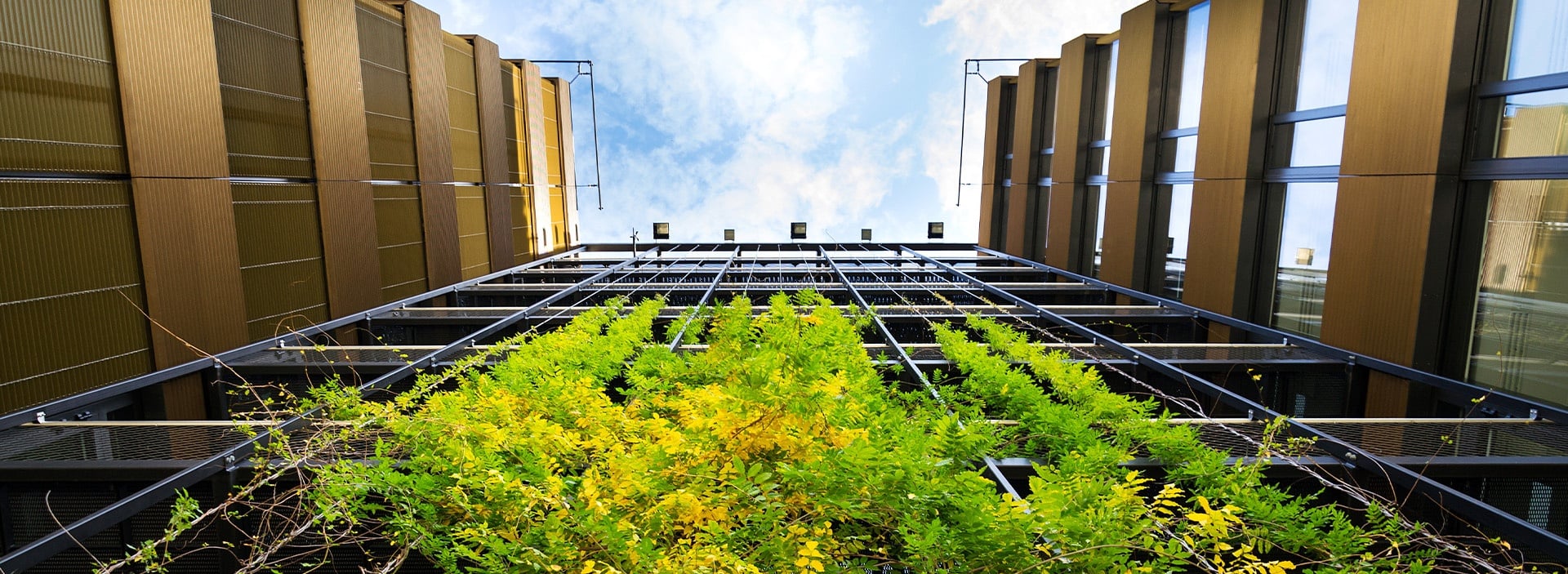 bnr-sustainability-practices-quebec-canadian-companies1