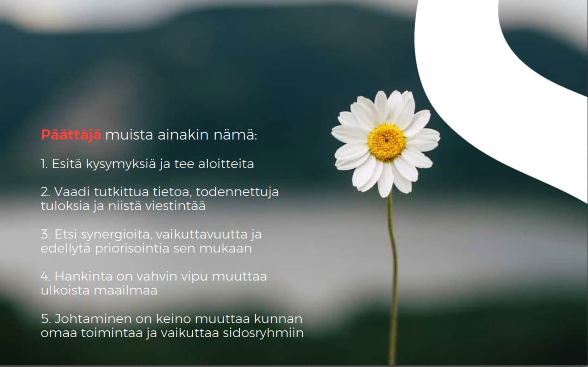 img-kestava-kehitys-kuntapaattajan-muistilista