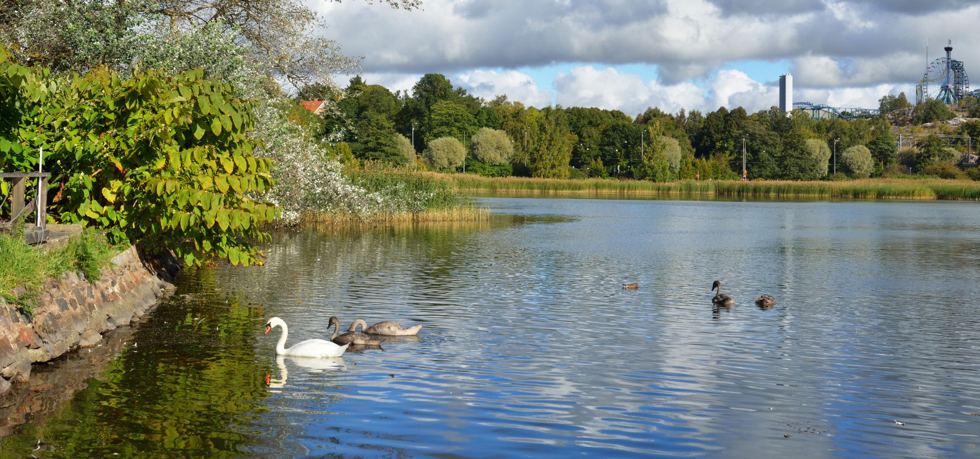 img-kaupunkiluonnon-monimuotoisuuden-yllapitaminen