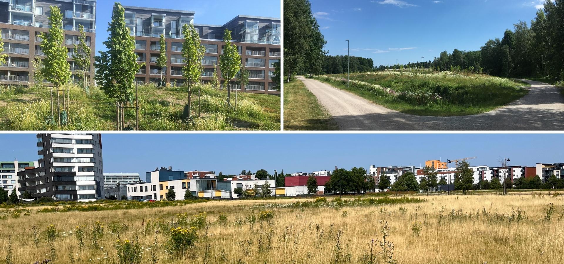 img-kaupunkiniittyja