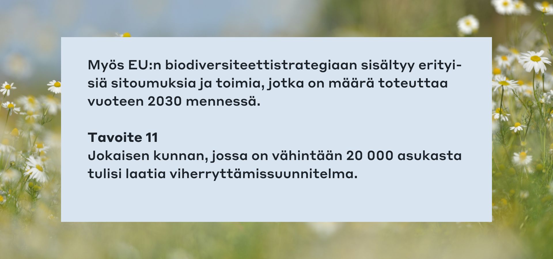 img-kiihtyva-luontokato-02