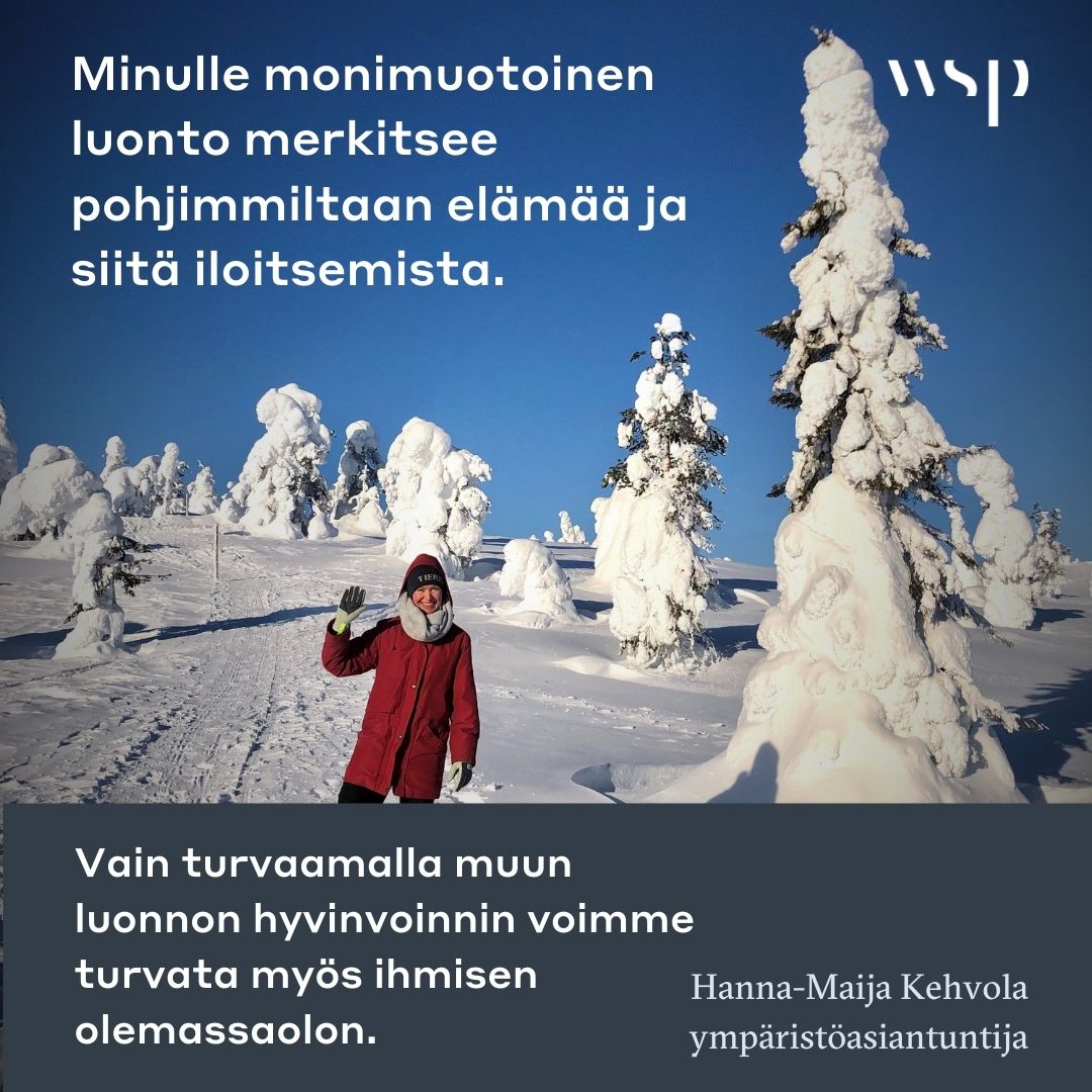 img_Hanna_Maija_Kehvola