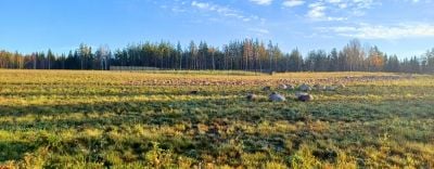 thn-Jatemateriaalien hyodyntaminen kaatopaikkojen kunnostamisessa