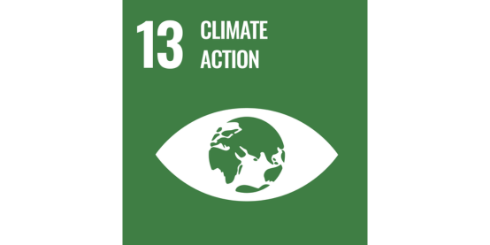 img-un-sdg-climate-action