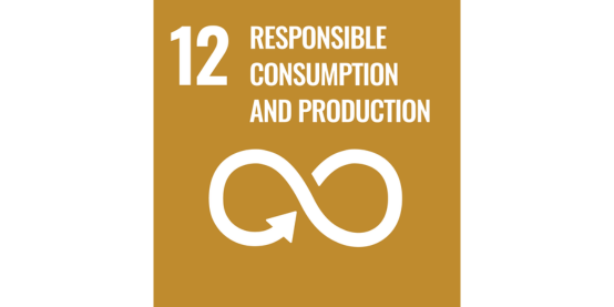img-un-sdg-consumption-and-production