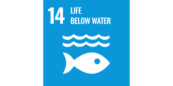 img-un-sdg-life-below-water