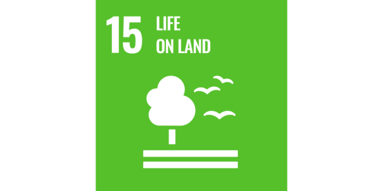img-un-sdg-life-on-land