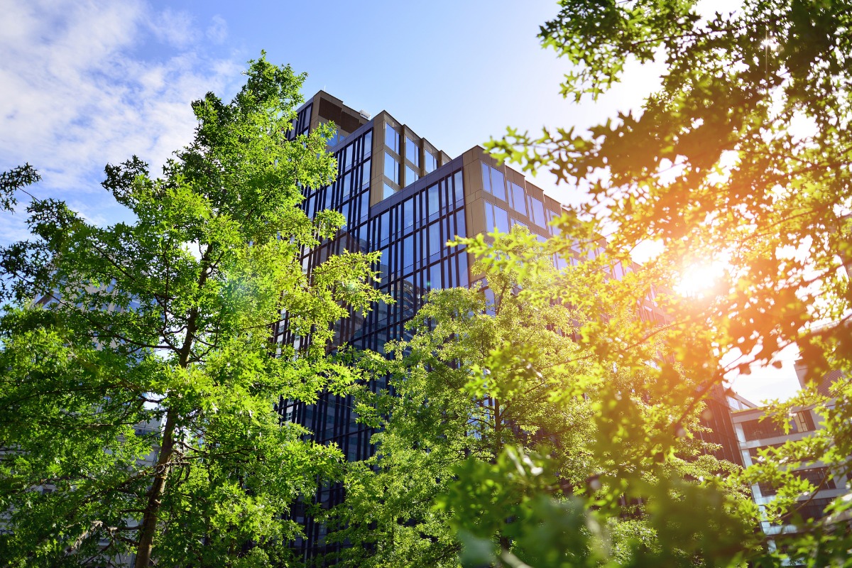 Trees next to a high rise building