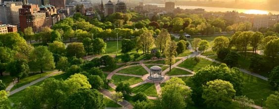 Insights from the Sustainability Delivery Summit-Thumbnail