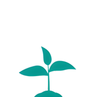 icn-seedling-transparent