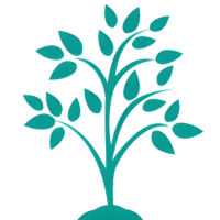 icn-tree-transparent