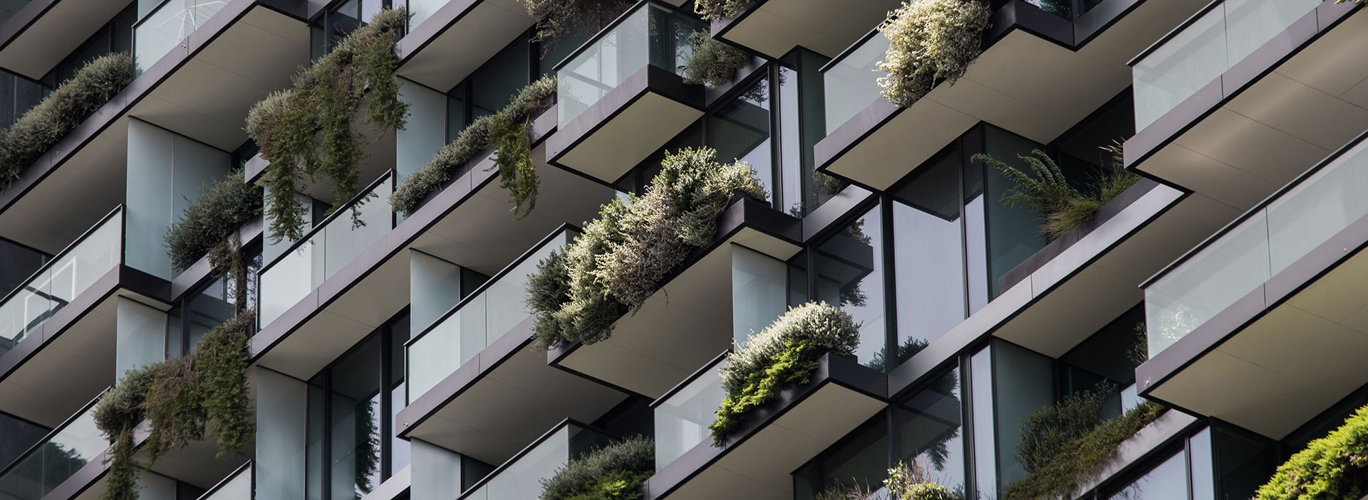 bnr-website-insights-design-decarbonize-sustainable-buildings