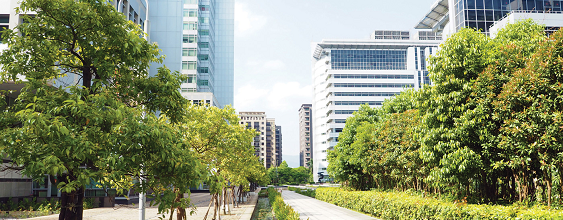 thn-trees-and-pollution