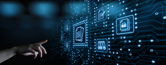thn-data-management
