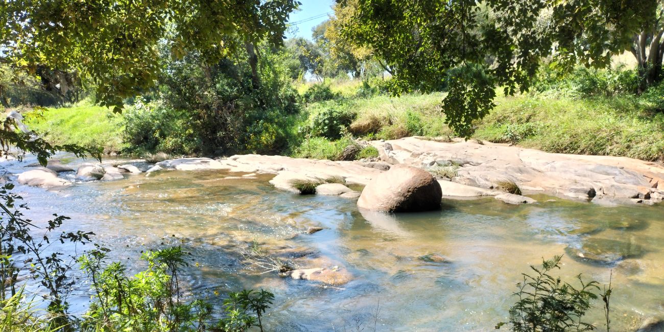 img-page-Braamfontein-Spruit
