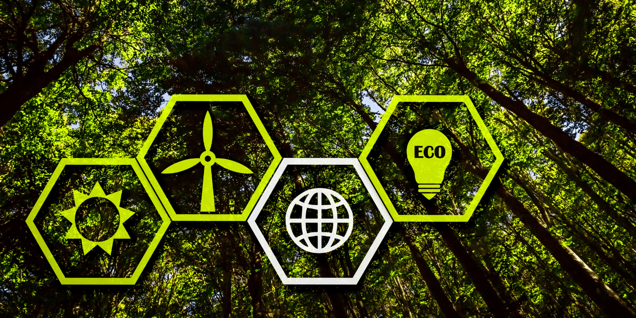 Transizione energetica content image