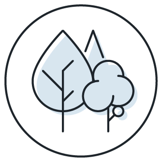 Charcoal-Business-Group-Earth-and-Environment