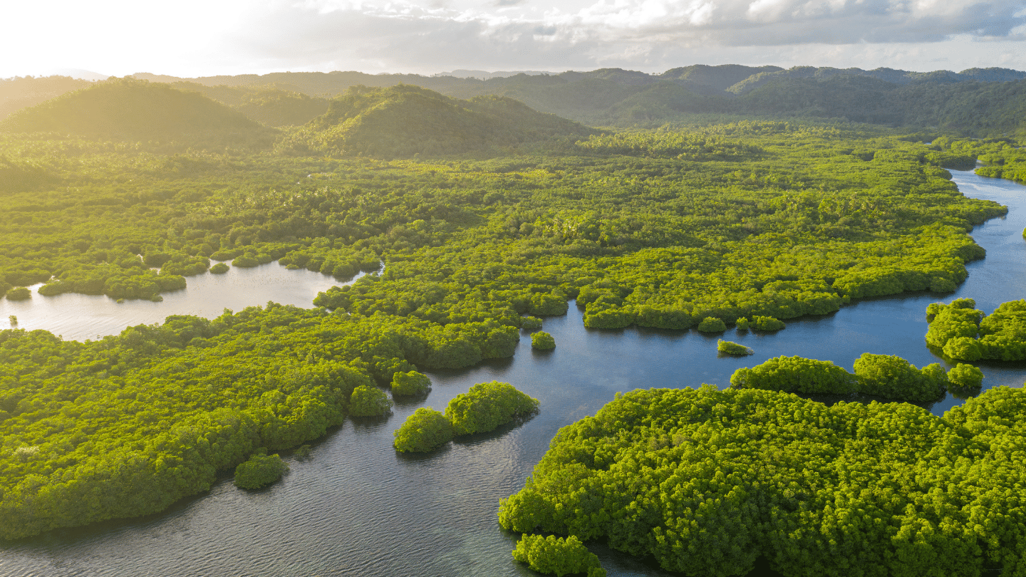 Banner-environment