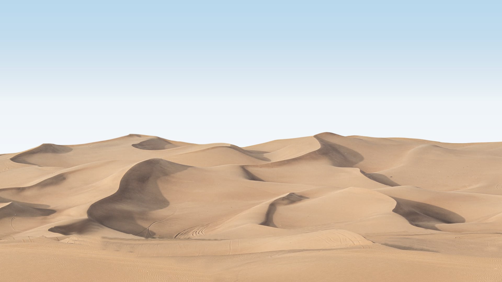saudi project banner