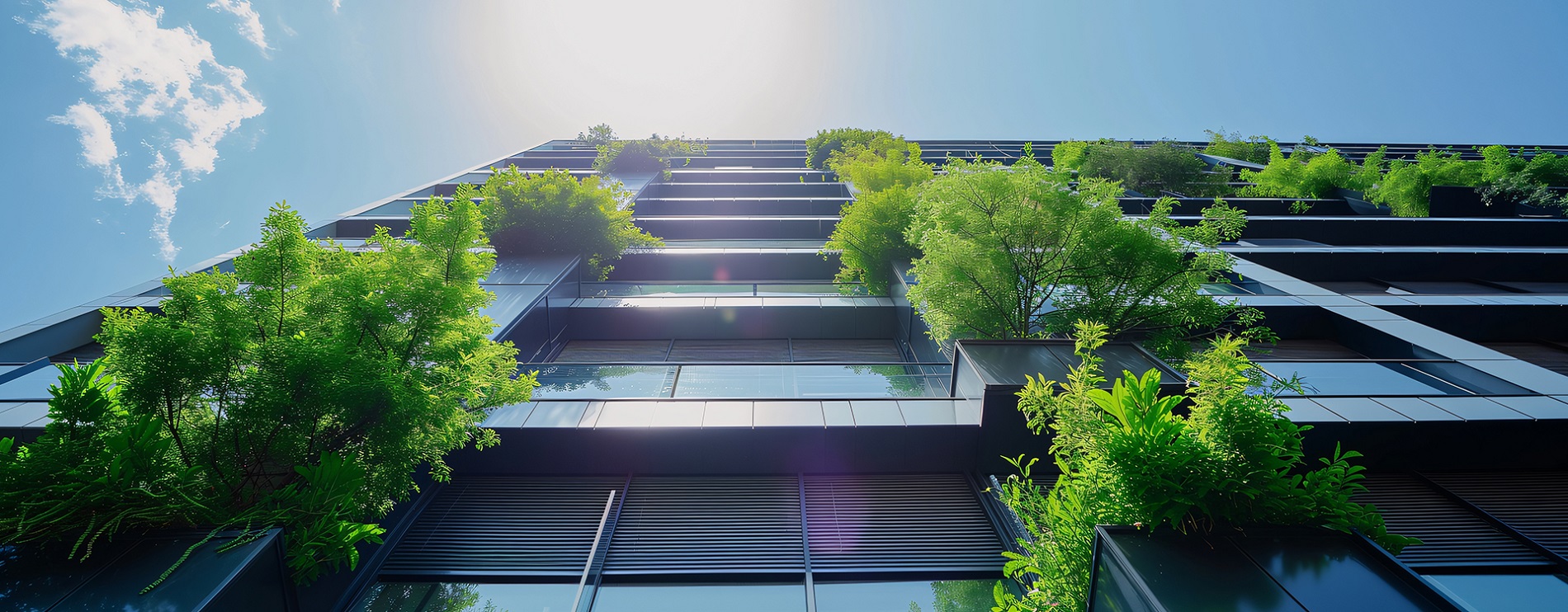 Sustainable Website Banner