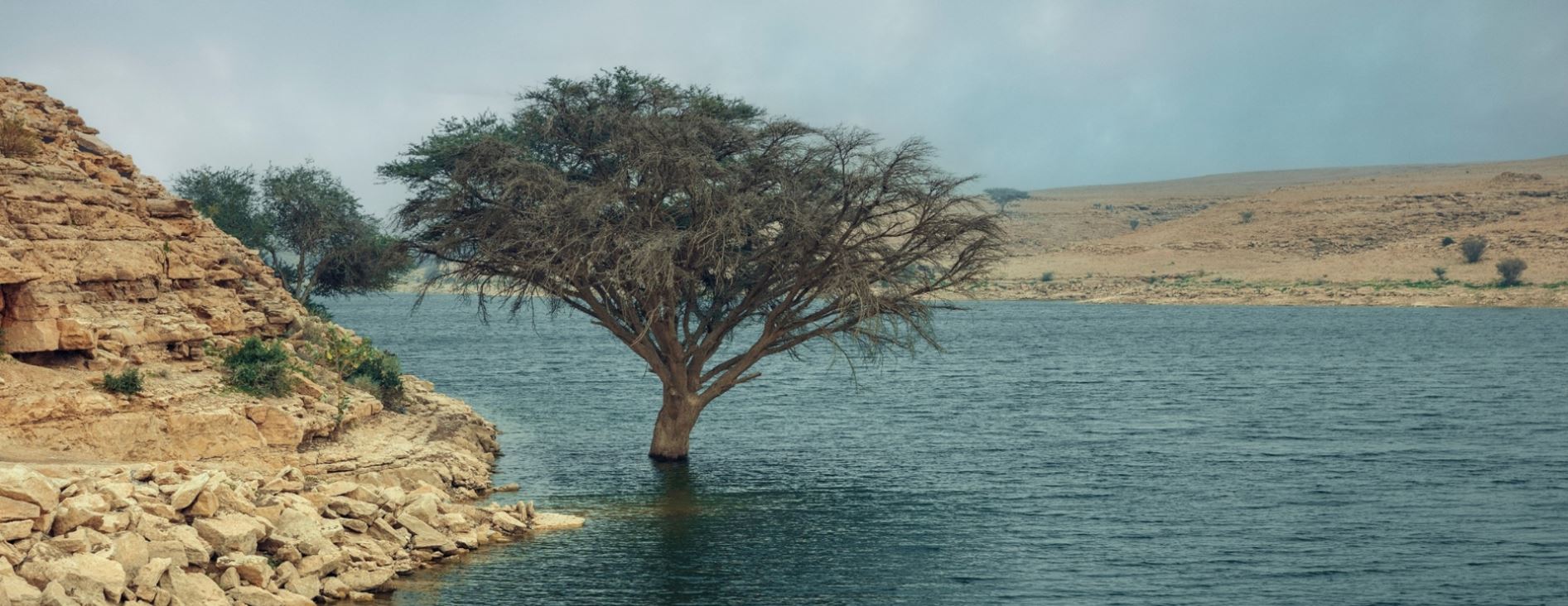 waterequitywebsitebanner