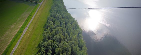 thn-website-nbs-moerdijk-drimmelen