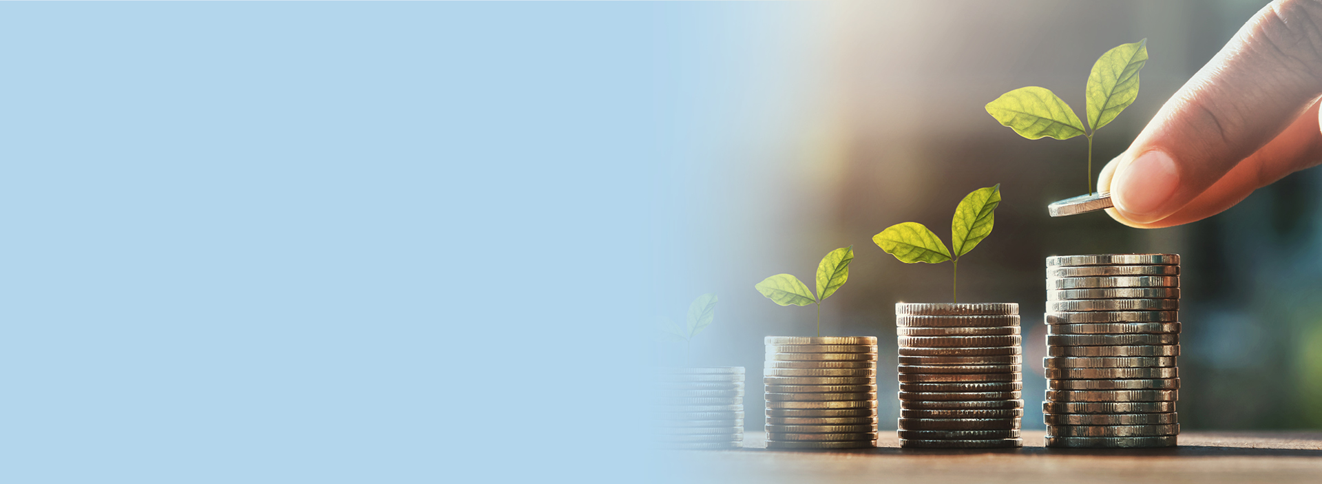 Banner of coins with plants