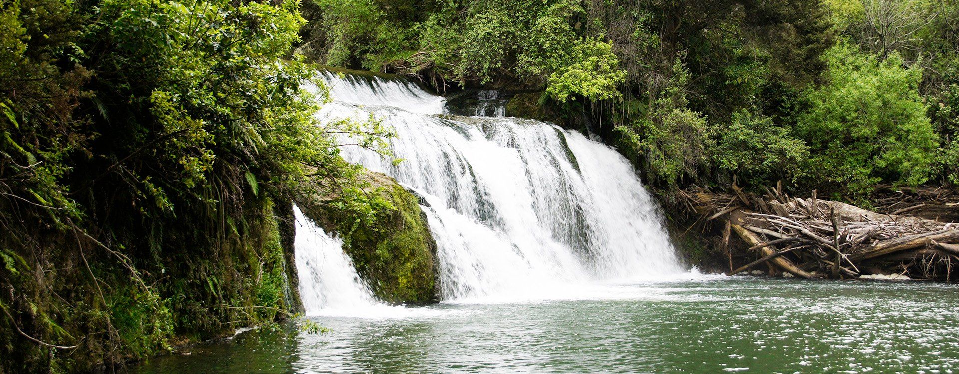 bnr-welcoming-water-reform