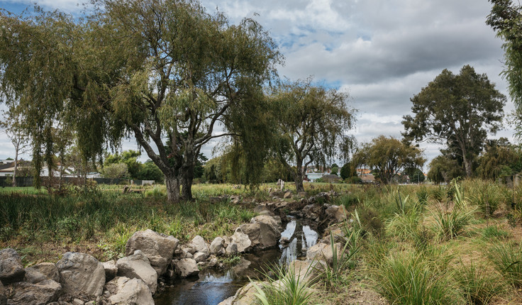 Healthy Waters on Page graphic of stream in New Zealand Credit  NZILA
